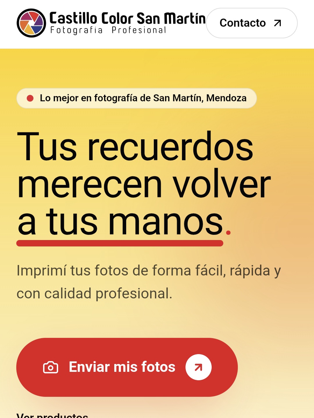Landing page de Castillo Color San Martín